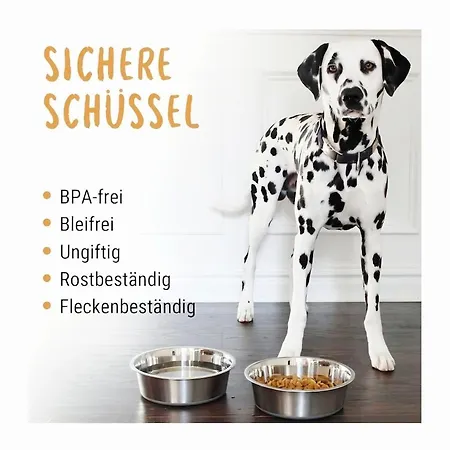 Apartament A-b-h Guenstig, Ruhig, Hund & Co, Wifi, Kueche, Wm
