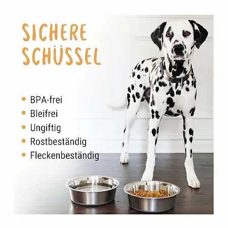 A-b-h Guenstig, Ruhig, Hund & Co, Wifi, Kueche, Wm Apartment